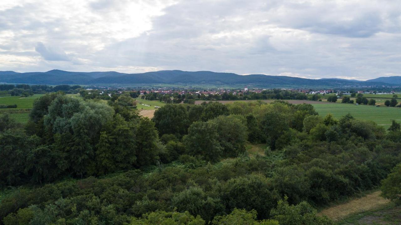 Ferienhaus Lenchen Niederkirchen bei Deidesheim Εξωτερικό φωτογραφία